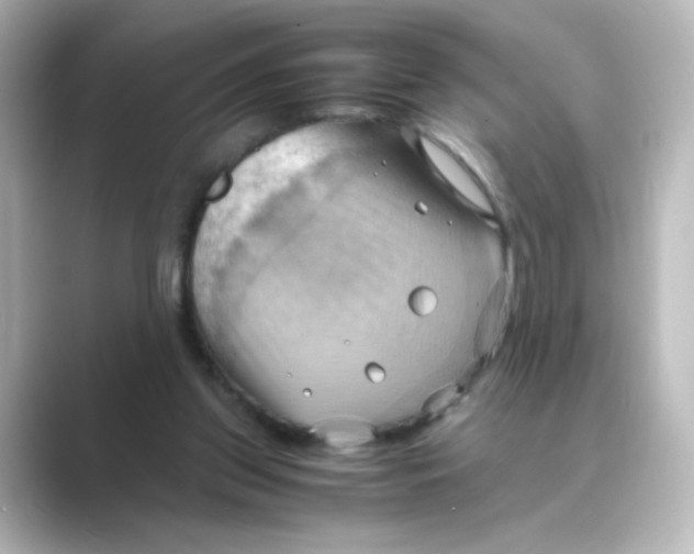 X0000088740157200706212103