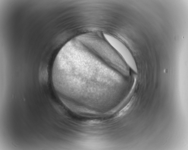 X0000088740158200706212103