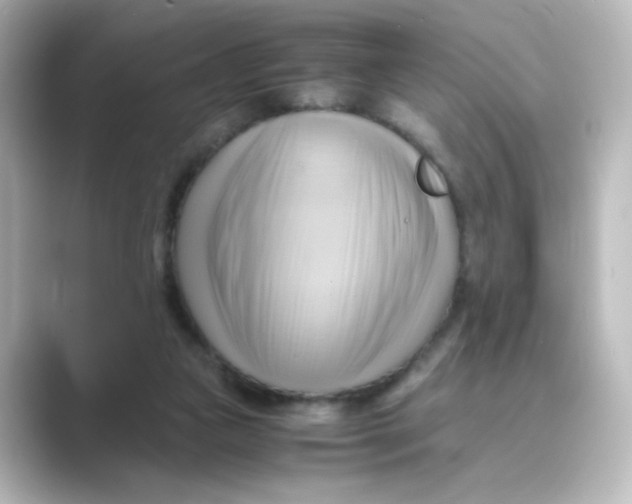 X0000088740161200706212103