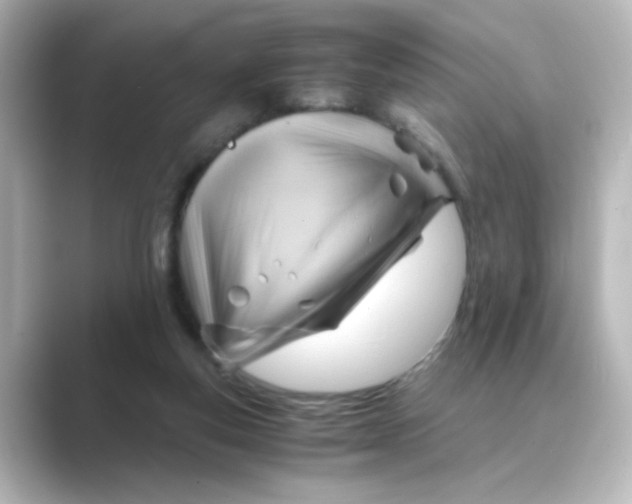 X0000088740163200706212103