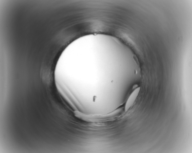 X0000088740164200706212103