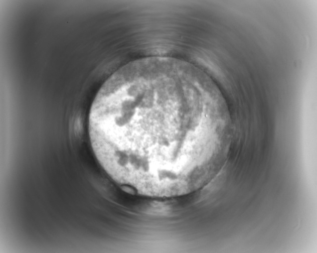 X0000088740166200706212103