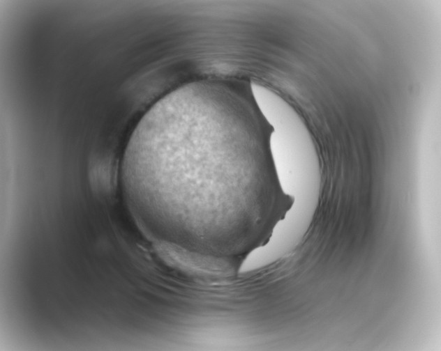 X0000088740168200706212103