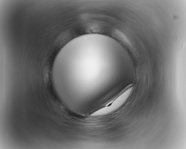 X0000088740169200706212103