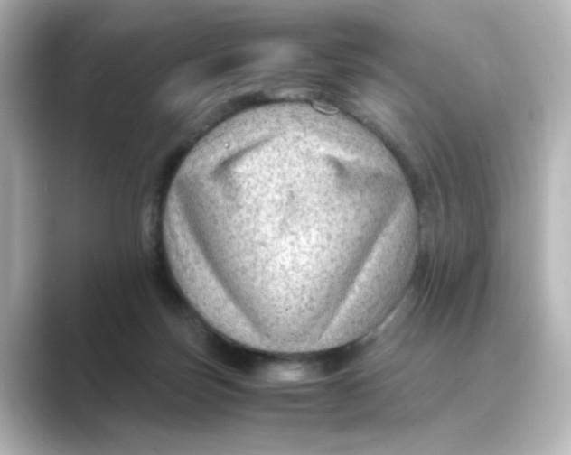 X0000088740171200706212103