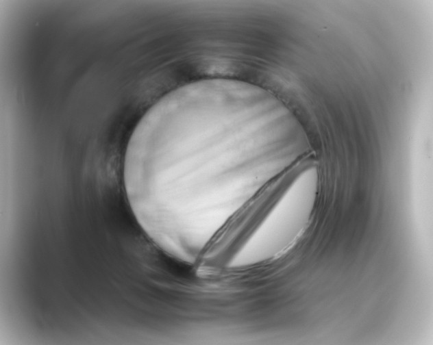 X0000088740175200706212103