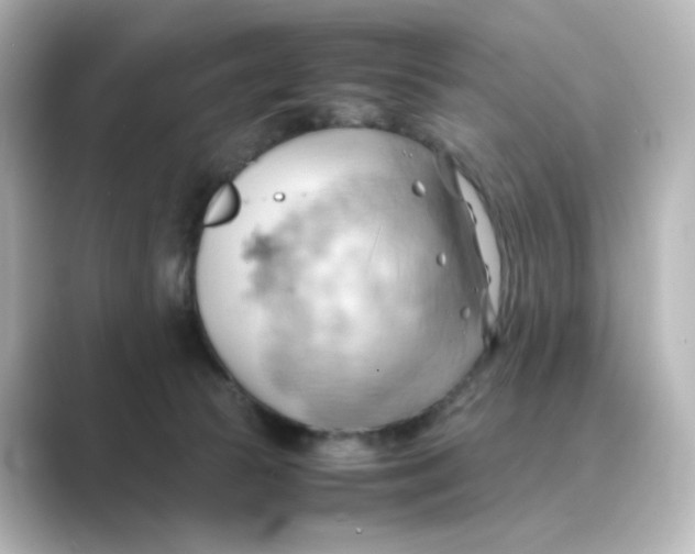 X0000088740177200706212103