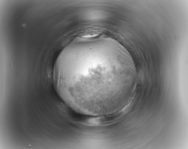 X0000088740178200706212103