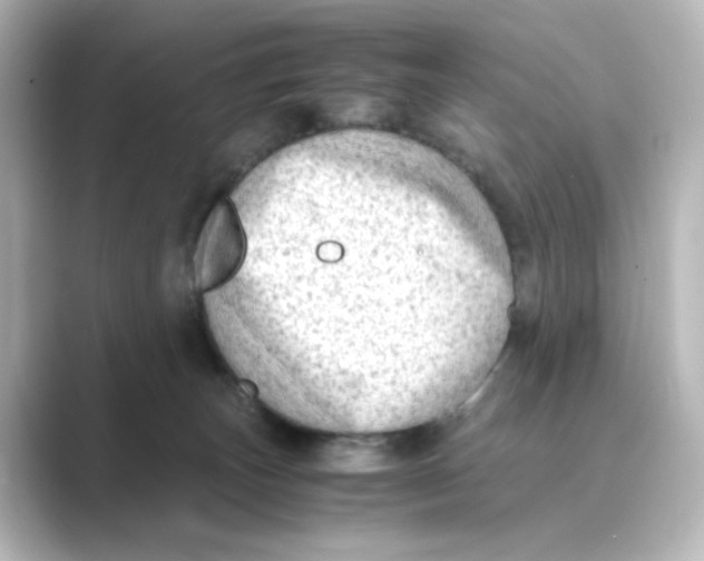 X0000088740179200706212103
