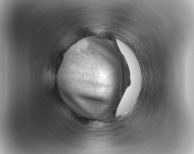 X0000088740180200706212103