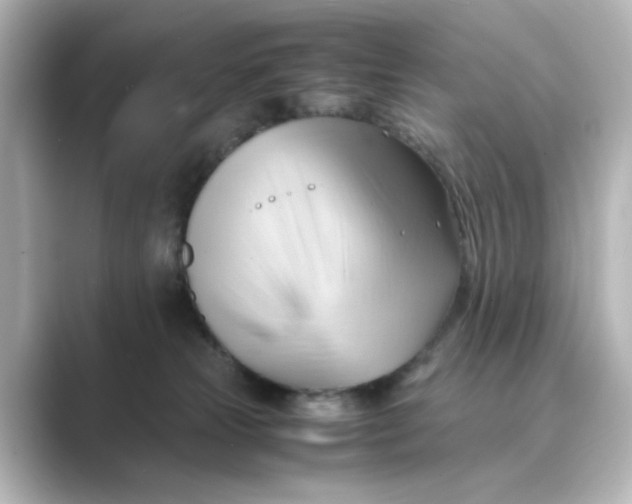 X0000088740181200706212103