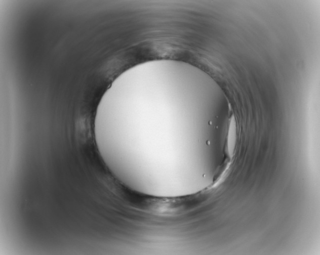X0000088740182200706212103