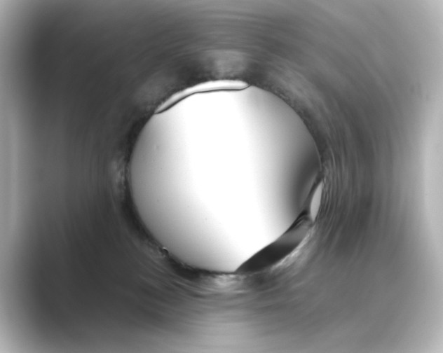X0000088740184200706212103