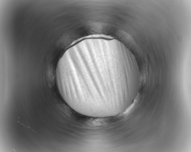 X0000088740186200706212103
