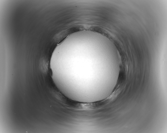 X0000088740188200706212103