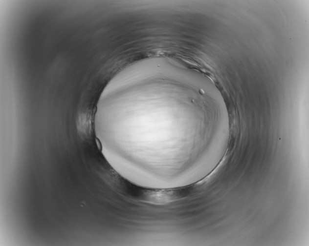 X0000088740191200706212103
