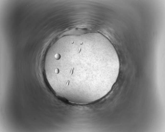 X0000088740193200706212103
