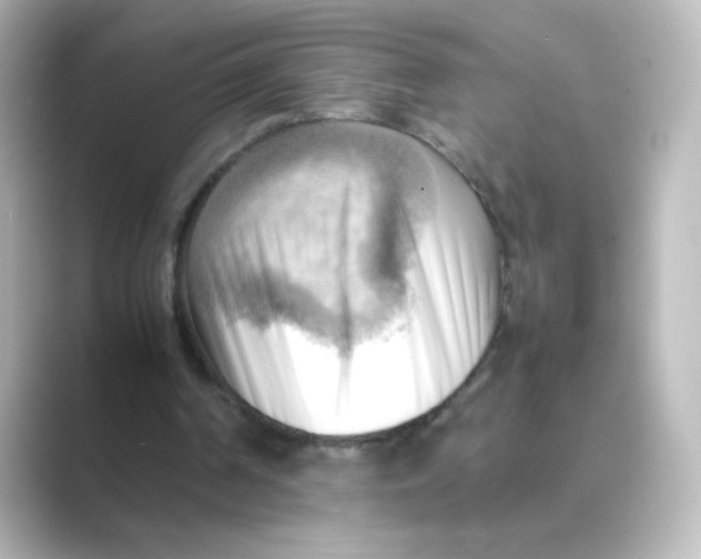 X0000088740194200706212103