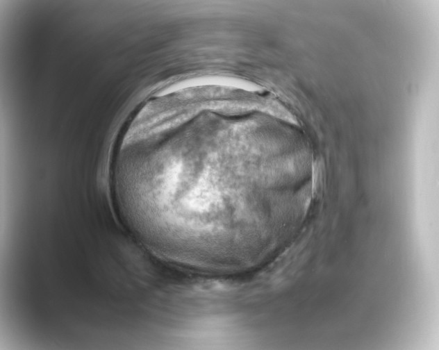 X0000088740195200706212103