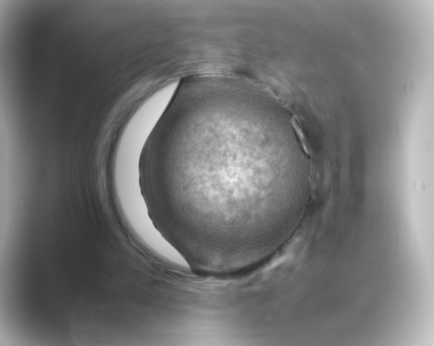 X0000088740197200706212103