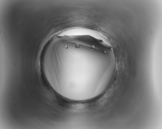 X0000088740198200706212103