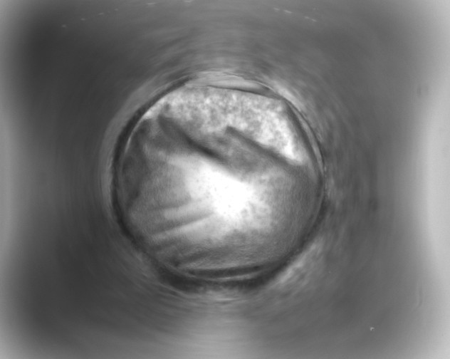 X0000088740199200706212103