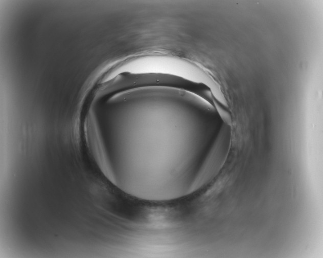 X0000088740200200706212103