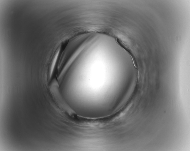 X0000088740201200706212103