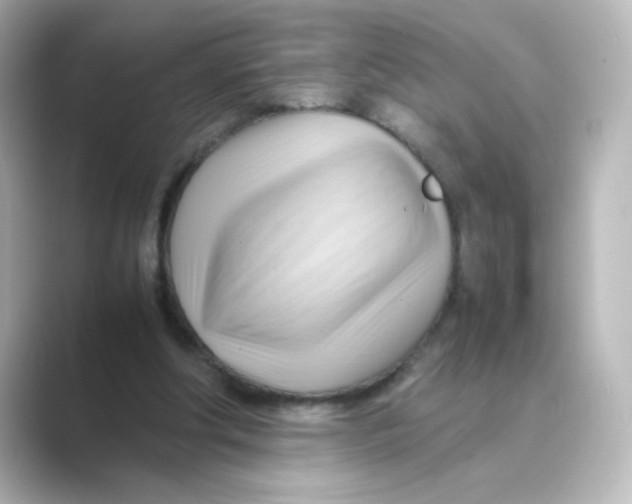 X0000088740202200706212103