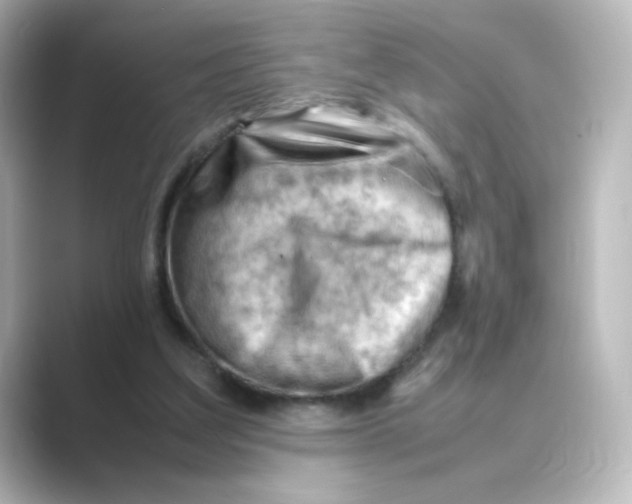 X0000088740203200706212103