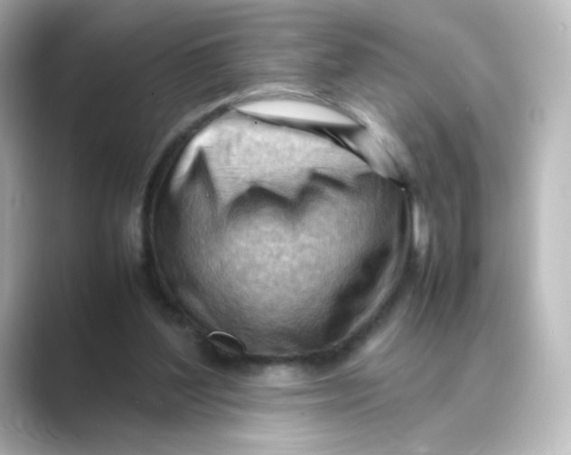 X0000088740204200706212103