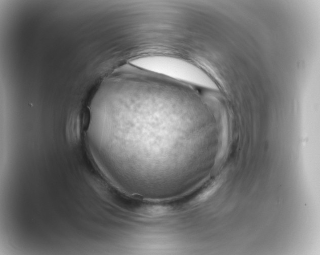 X0000088740205200706212103