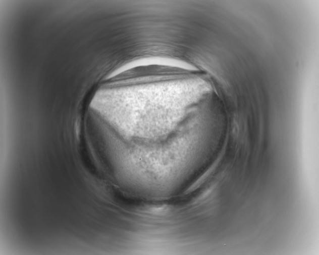 X0000088740206200706212103