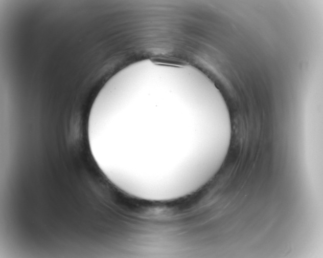 X0000088740212200706212103