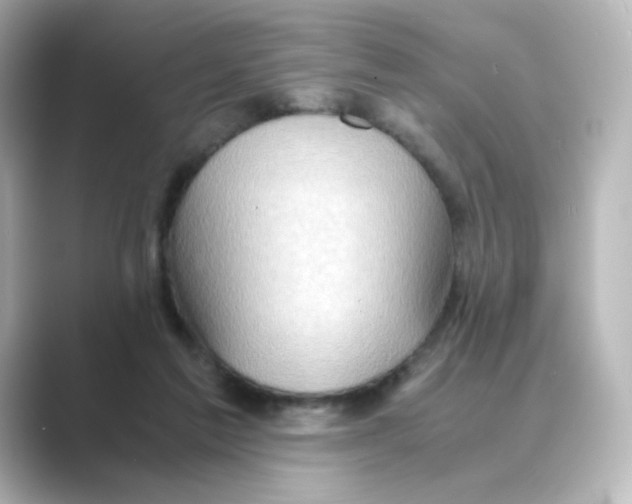 X0000088740213200706212102