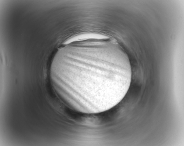 X0000088740215200706212102