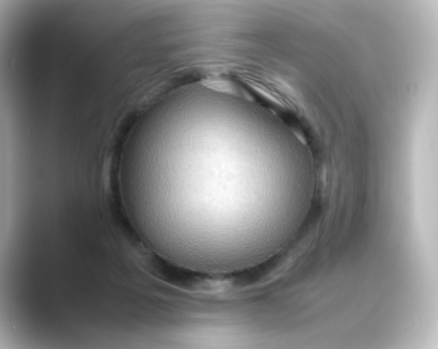 X0000088740217200706212102