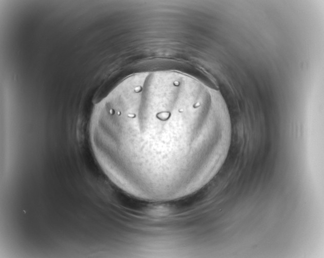 X0000088740218200706212102