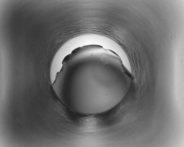 X0000088740219200706212102