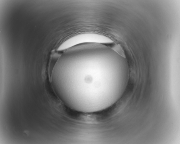 X0000088740221200706212102