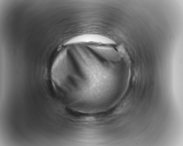 X0000088740224200706212102