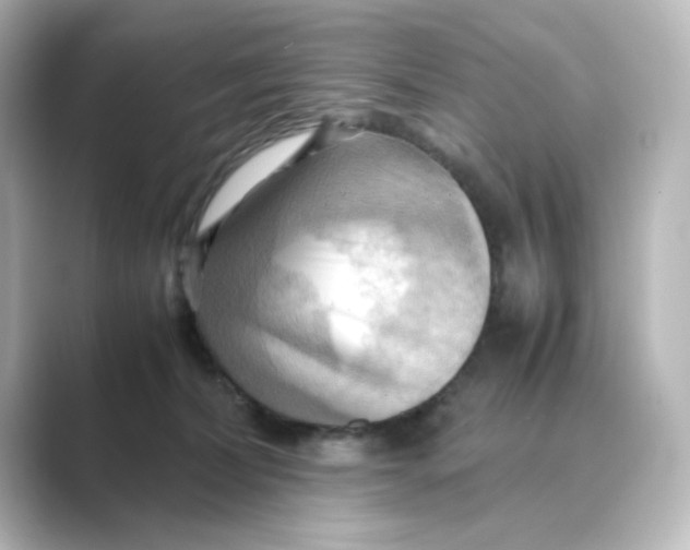 X0000088740228200706212102