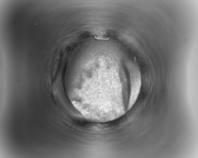 X0000088740229200706212102