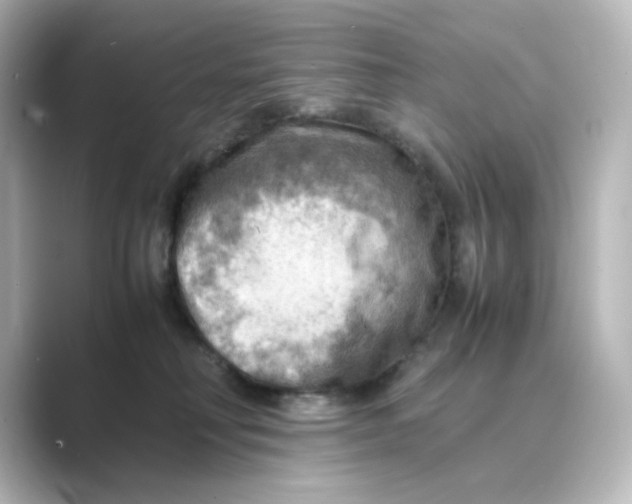 X0000088740230200706212102