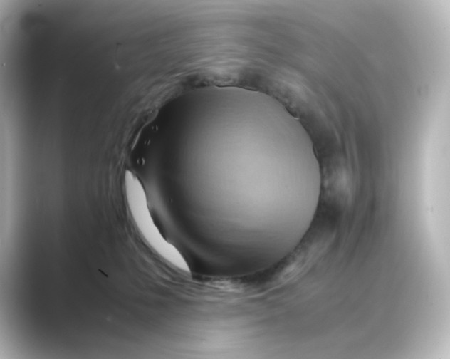 X0000088740231200706212102