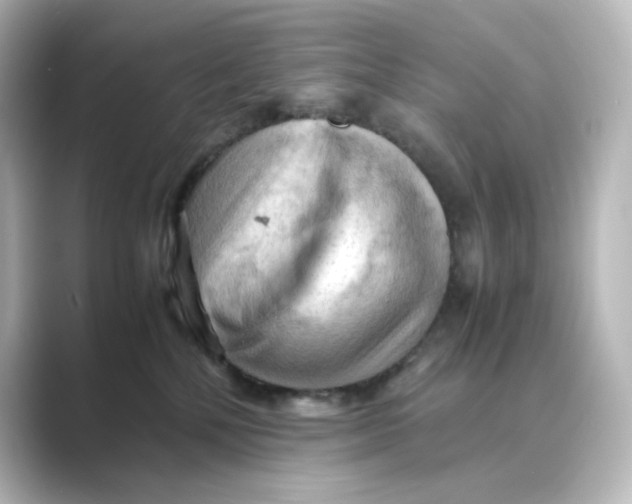 X0000088740232200706212102