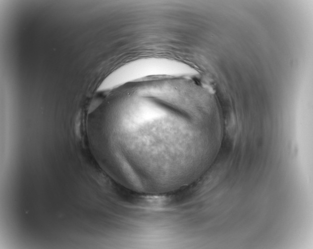 X0000088740233200706212102