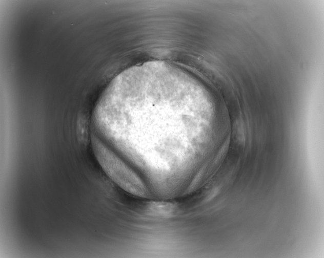X0000088740234200706212102