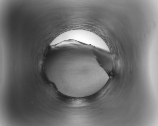 X0000088740235200706212102