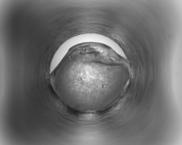 X0000088740237200706212102